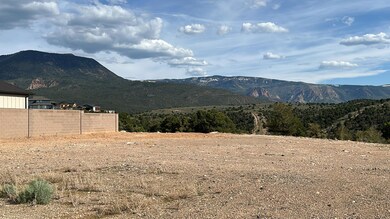 IMG_6834