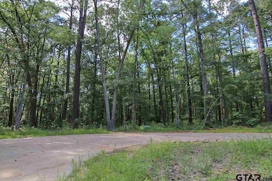 5908 Brixworth Dr, Tyler, TX 75703 - photo 5