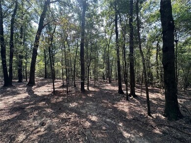 Danner Dr, Wilmer, AL 36587 - photo 2