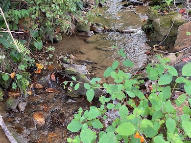 79 Hensley Branch Rd, Burnsville, NC 28714 - photo 2