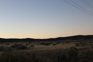 IMG_3007