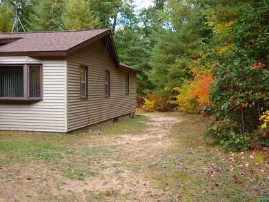 687 Home Acres St, Brohman, MI 49312 - photo 7