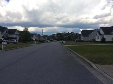 165 Grandifloria Ct, Winterville, NC 28590 - photo 4