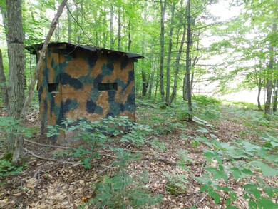 4810 Old Vanderbilt Rd, Vanderbilt, MI 49795 - photo 7