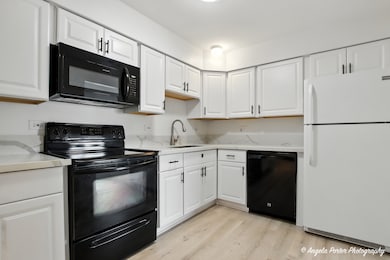 2600 Brookwood Way Dr unit 305, Rolling Meadows, IL 60008 - photo 4