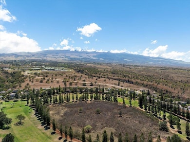 2740 Liholani St unit 10, Makawao, HI 96768 - photo 6