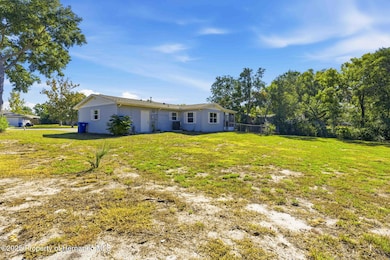 4533 Lakeshore Ave, Spring Hill, FL 34606 - photo 5