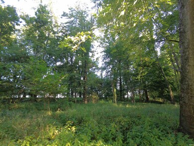 845 E 75n Rd, Winamac, IN 46996 - photo 6