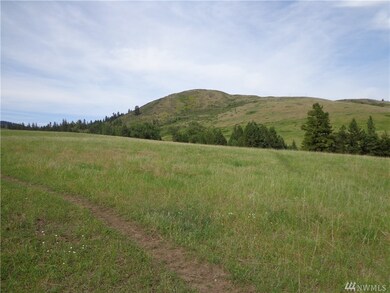 0 Honeysuckle Ln unit 1410772, Curlew, WA 99118 - photo 4