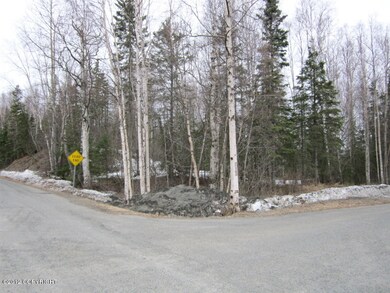 Large Corner 2.5 Acre Lot