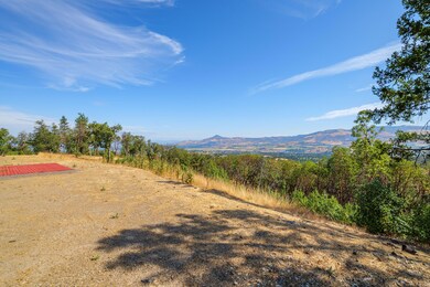 1028 Coleman Hills Dr unit 3, Medford, OR 97501 - photo 5