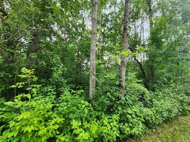 V/L L 7-8 James Ray St, Oscoda Township, MI 48737 - photo 4