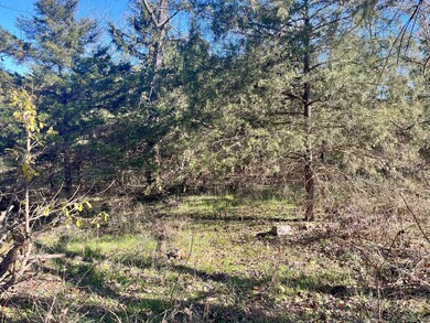 Lot Pic 3