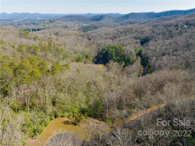 000 Mills River Way unit 101, Horse Shoe, NC 28742 - photo 2