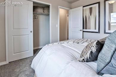 Bedroom with carpet flooring, baseboards, and a closet