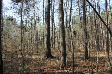 0 River Bend Rd, Columbia, MS 39429 - photo 6