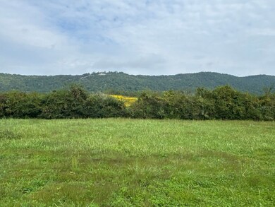 0 Eagle Bluff Rd, Jacksboro, TN 37757 - photo 6