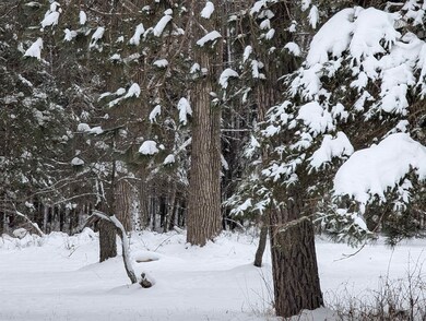 57695 Four Corners Rd, Mason, WI 54856 - photo 4