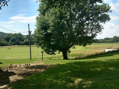 McNichols bottom field
