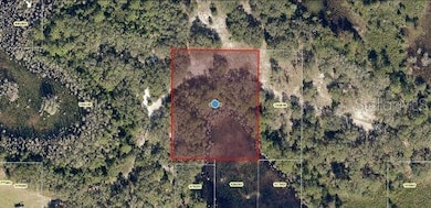 0 Roys Rd unit MFRO6235691, Clermont, FL 34711 - photo 2