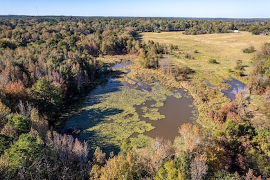 380 An County Road 370, Palestine, TX 75801 - photo 3
