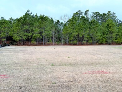 458 Summerhouse Dr, Holly Ridge, NC 28445 - photo 3