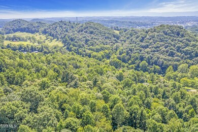 8355 Wagner Rd, Bristol, VA 24202 - photo 7