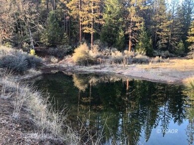 Pond