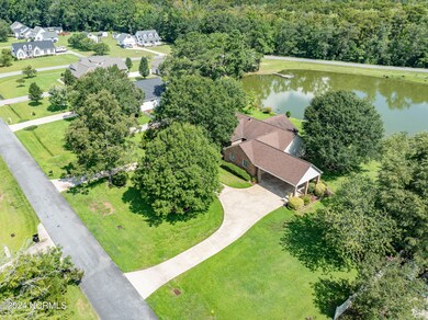 aerial view 19