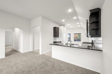 902 Eloise Ln, Cleburne, TX 76033 - photo 6