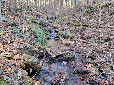 00 Corbin Cove Dr, Franklin, NC 28734 - photo 5