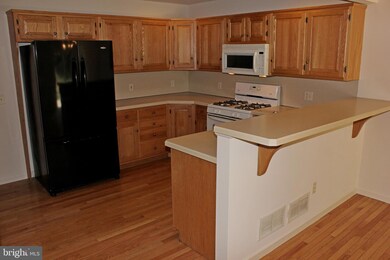 132 Gantz Meadows, Mount Joy, PA 17552 - photo 3