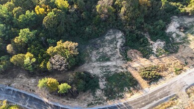 3 Tyro Branch Cove, Senatobia, MS 38668 - photo 5