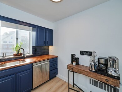 Hammond Park Condominiums unit 204, Chestnut Hill, MA 02467 - photo 5