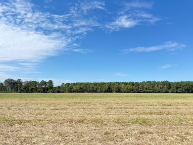 0 Tbd Salem Rd unit LotWP00B 24524860, Bennettsville, SC 29512 - photo 2