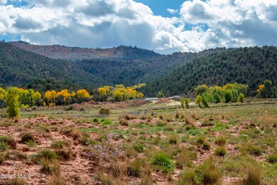 15 Doll Station, Gypsum, CO 81637 - photo 4