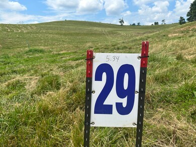 Tract 29 Pittsburg Landing Rd, London, KY 40741 - photo 5