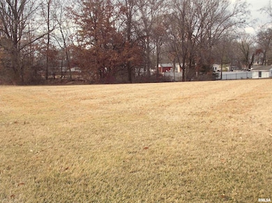 22 Clearlake Dr, Centralia, IL 62801 - photo 3