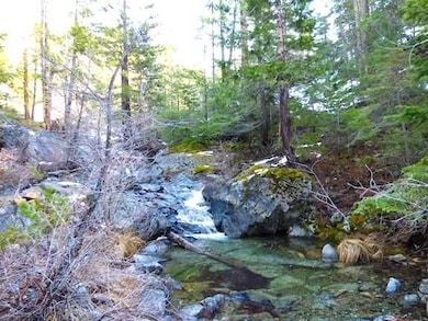 Financing Miningclaim Ownership, Mount Shasta, CA 96067 - photo 4