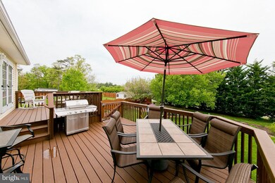 103 Button Bush Ave, Stephens City, VA 22655 - photo 7