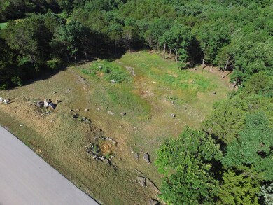 Lot 181 Silver Sunset Ln, Ruth B Rural Township, MO 65686 - photo 4