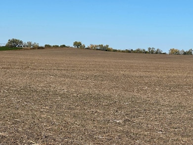 355 8th Ave, Saint Paul, NE 68873 - photo 7