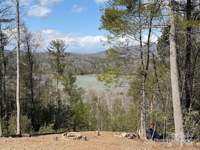 305 Captains Dr unit 200, Nebo, NC 28761 - photo 6