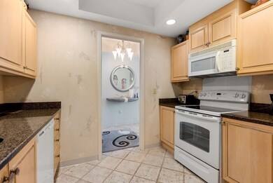 79 Florence St unit 308S, Chestnut Hill, MA 02467 - photo 6