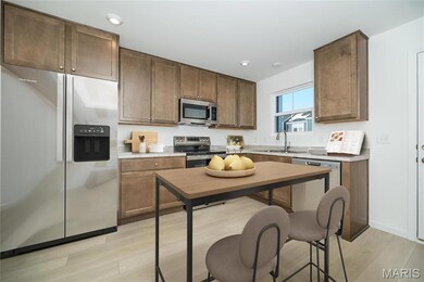 103 Cardow Dr unit 169-605, O'Fallon, MO 63368 - photo 2