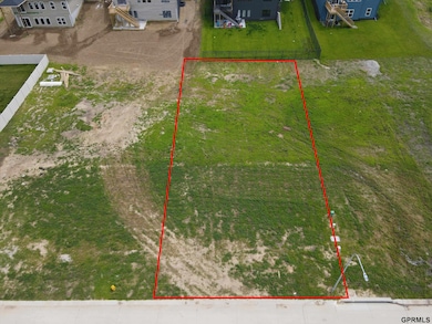 11667 S 125th St, Papillion, NE 68046 - photo 3