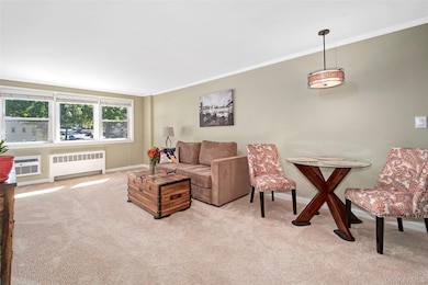 27 Avon Cir unit C, Rye Brook, NY 10573 - photo 3