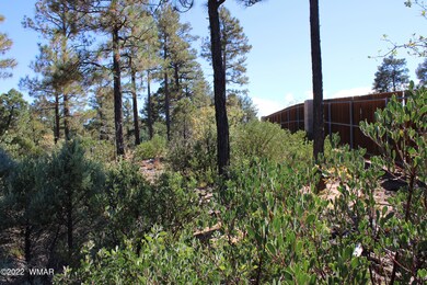441 E Huckleberry Ln, Show Low, AZ 85901 - photo 4