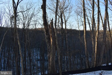 345 Laurel Hill Rd, Harpers Ferry, WV 25425 - photo 5