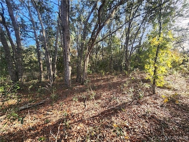 2176 W Conway Dr, Citrus Springs, FL 34434 - photo 4